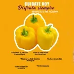 000000000070233363-UN-03