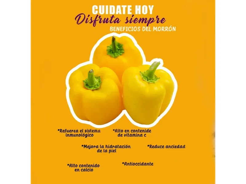 000000000070233363-UN-03