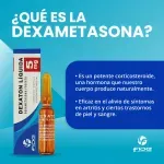 000000000075383503-UN-06