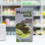 000000000075379382-UN-03