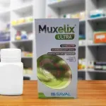 000000000075379382-UN-04