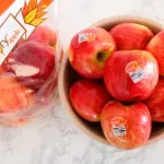 000000000075177373-UN-04