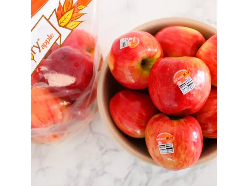 000000000075177373-UN-04