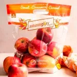 000000000075177373-UN-05