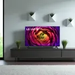 000000000075242638-UN-08