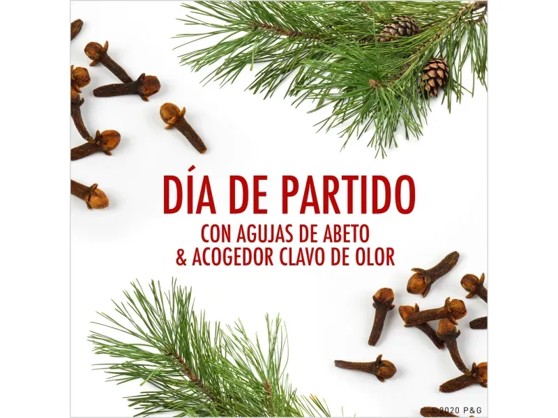 000000000070196033-UN-03