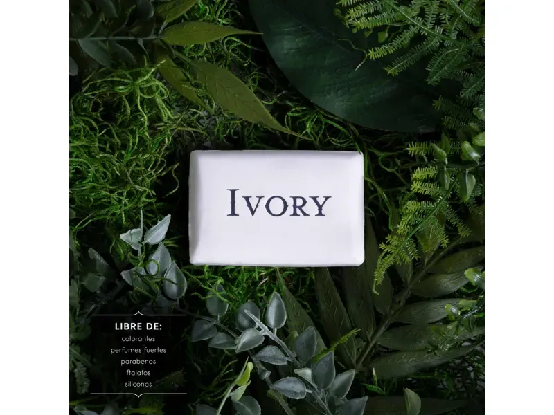 000000000070085576-UN-02