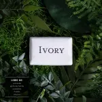 000000000070217358-UN-02