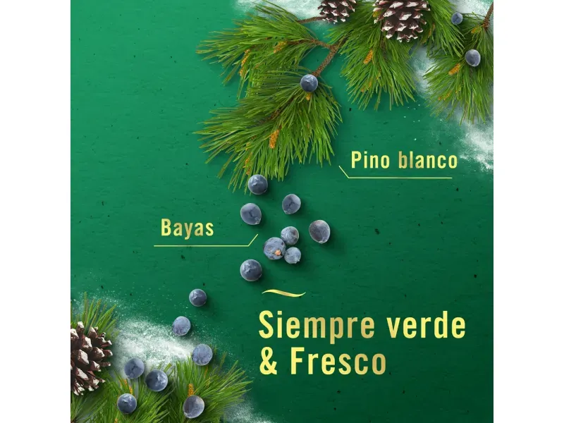 000000000075233355-UN-03