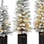 000000000075328764-UN-03