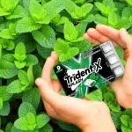 000000000075378805-UN-04