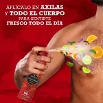 000000000075158987-UN-03