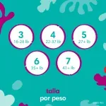 000000000070117355-UN-09