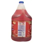 000000000070387067-UN-04