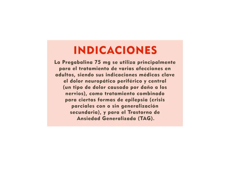 000000000070158873-UN-06