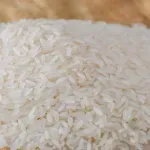 000000000070318872-UN-04