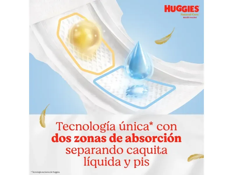 2025-11-19T20:19:17.569Z