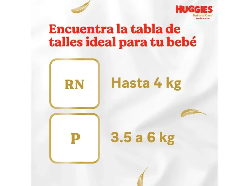 2025-11-19T20:19:22.199Z