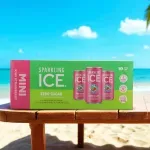 000000000075335487-UN-03