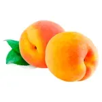 000000000070192490-UN-02