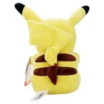 000000000075292570-UN-02