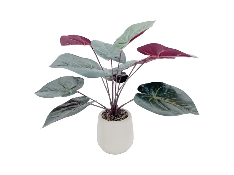 000000000075370879-UN-01