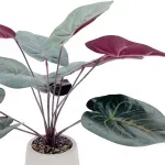 000000000075370879-UN-02