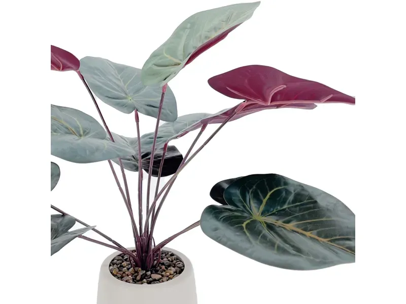 000000000075370879-UN-02