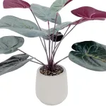 000000000075370879-UN-03