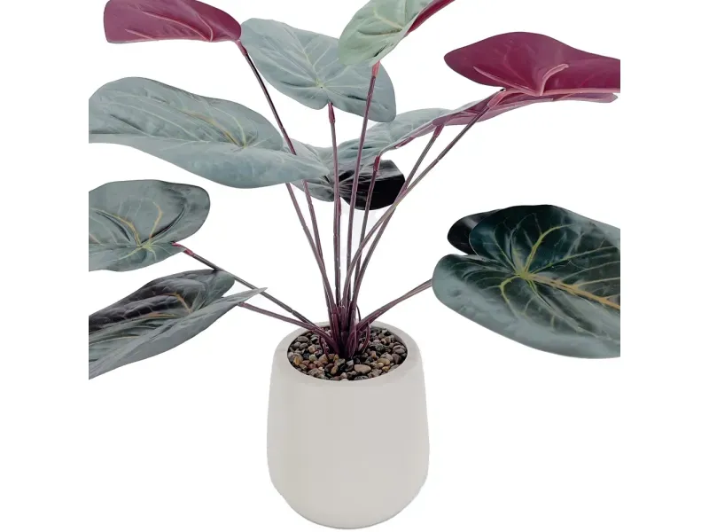 000000000075370879-UN-03