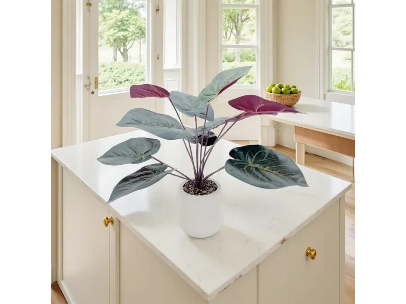 000000000075370879-UN-04