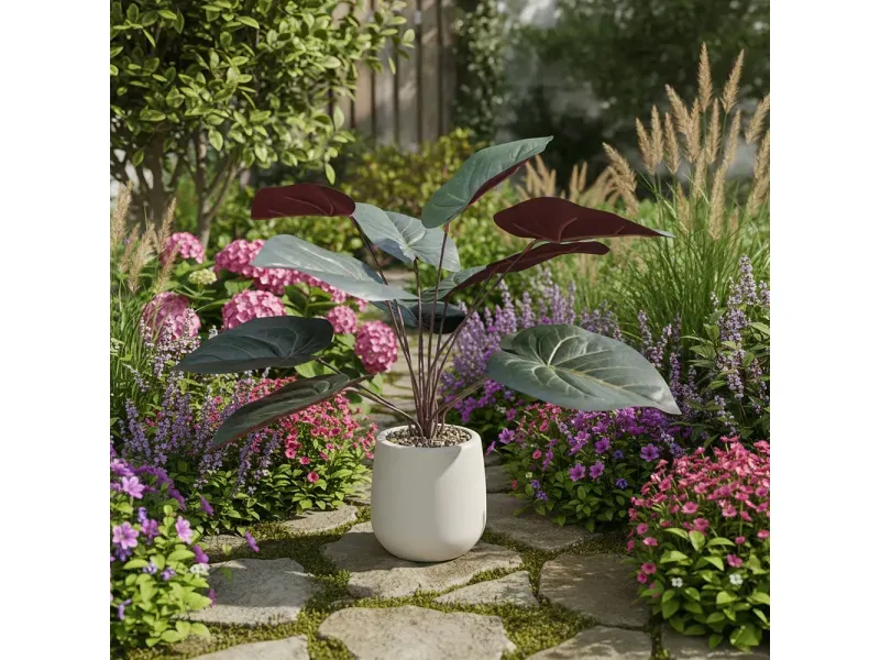 000000000075370879-UN-05