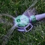 000000000075269161-UN-06