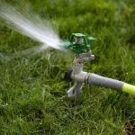 000000000075269169-UN-06