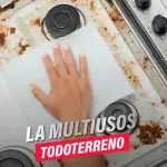 000000000070255073-UN-02