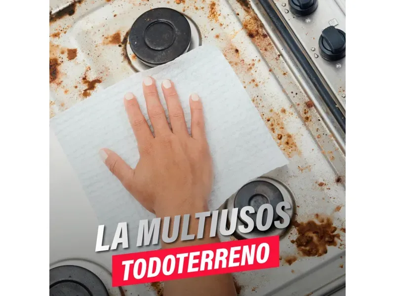 000000000070255073-UN-02