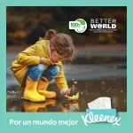 000000000070494610-UN-06