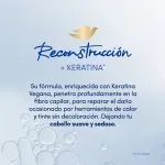 000000000075244782-UN-07