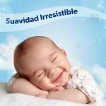 000000000075279509-UN-02