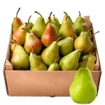 000000000070127383-KG-01