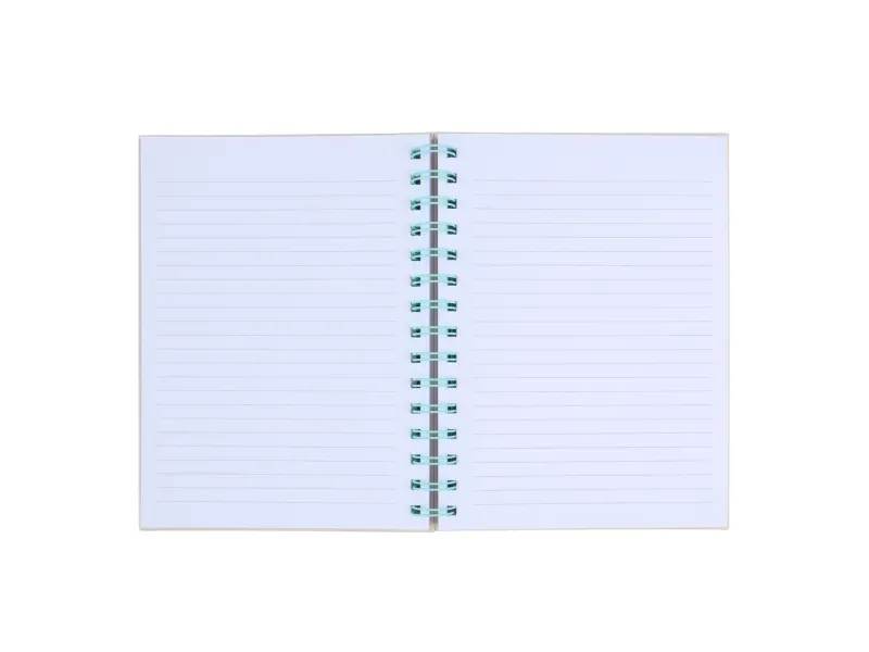 000000000070010895-UN-04