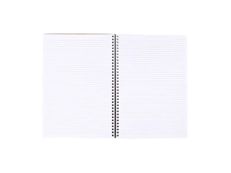 000000000075226023-UN-03