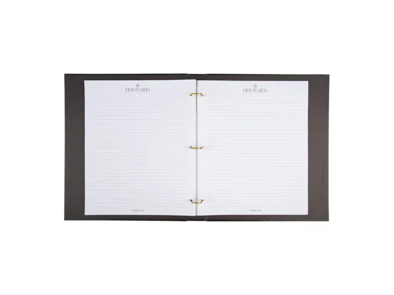 000000000075213399-UN-04