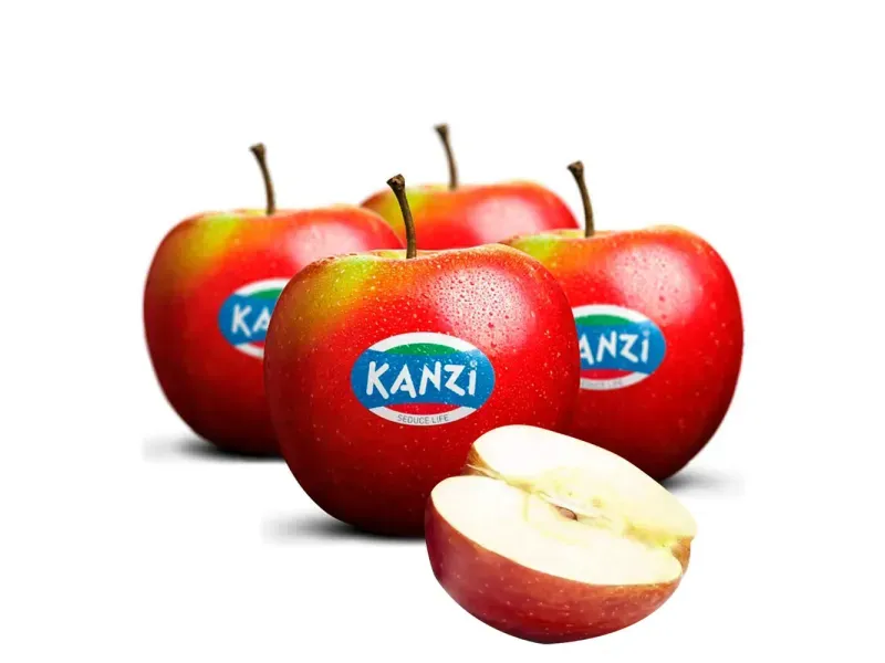 000000000075388969-UN-01