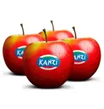 000000000075388969-UN-02