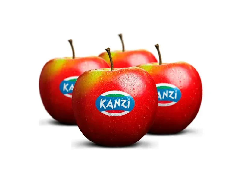 000000000075388969-UN-02