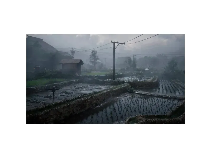 000000000075432862-UN-03