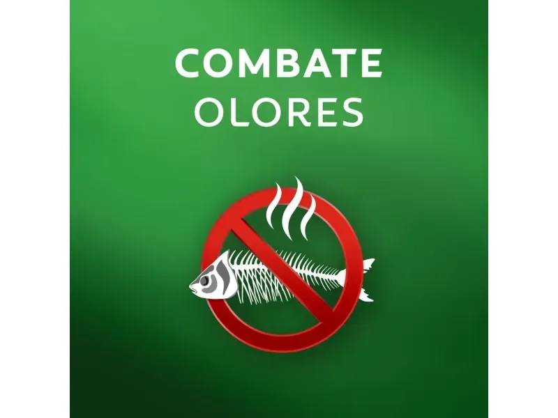 000000000075279973-UN-05