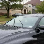 000000000070639188-UN-03