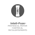 000000000070393539-UN-10